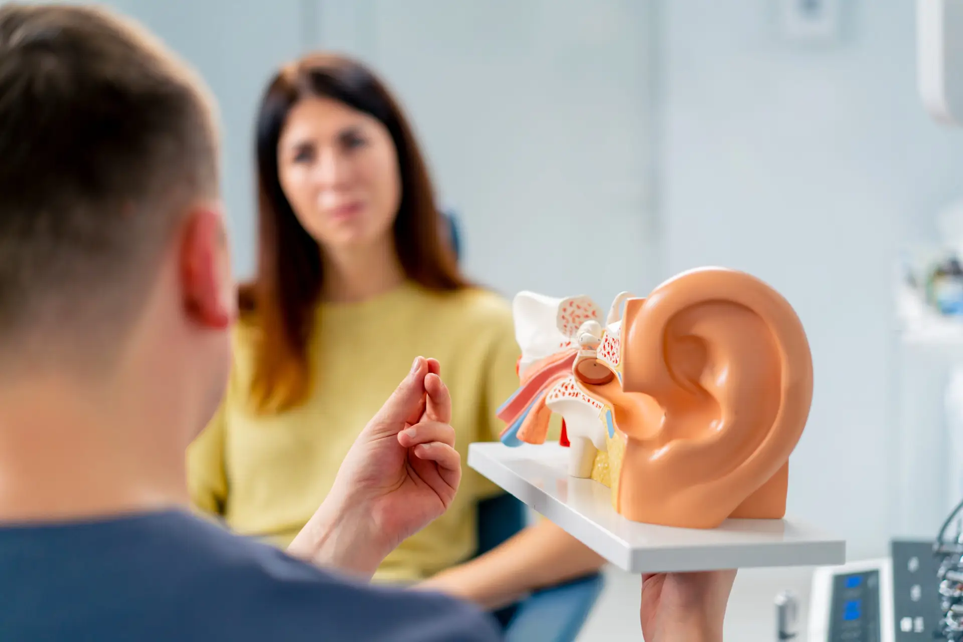 Anatomisches Ohrenmodell mit Blick auf eine Person im Hintergrund, Karl Kaps, Mikroskope made in Germany.